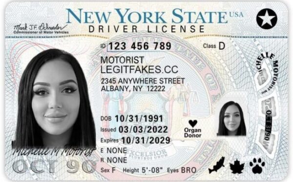 New York Driver's License