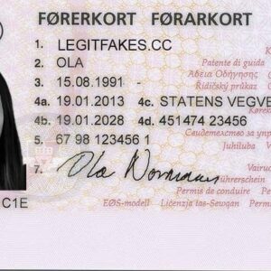 Norwegian driving license